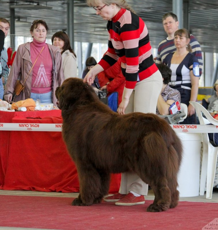 Фотография № 152553