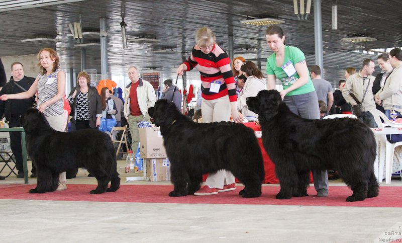 Фотография № 152560