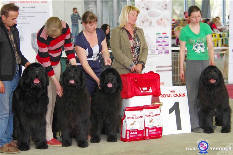 Фото: Наталия Витковская