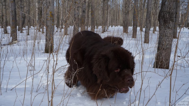 Фотография № 152672