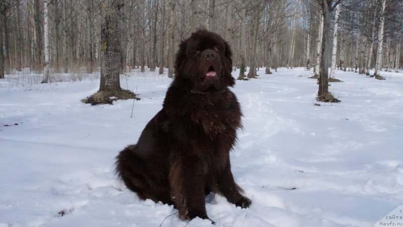 Фотография № 152673