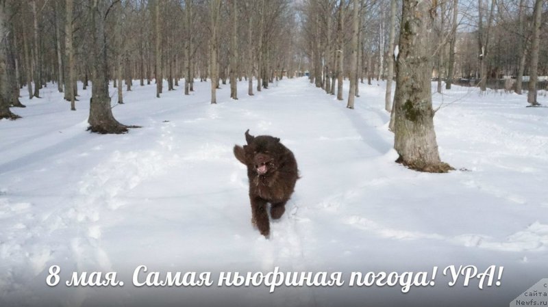 Фотография № 152674