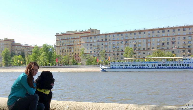 Фото: ньюфаундленд Черный Чанк с Берега Дона (Chernyj Chank s Berega Dona), Ирина Складнова