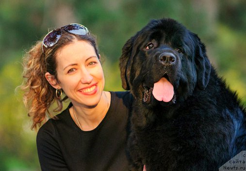 Фото: ньюфаундленд Загадка Доминика Кара Дениз (Zagadka Dominika Kara Deniz), Марина Демидова