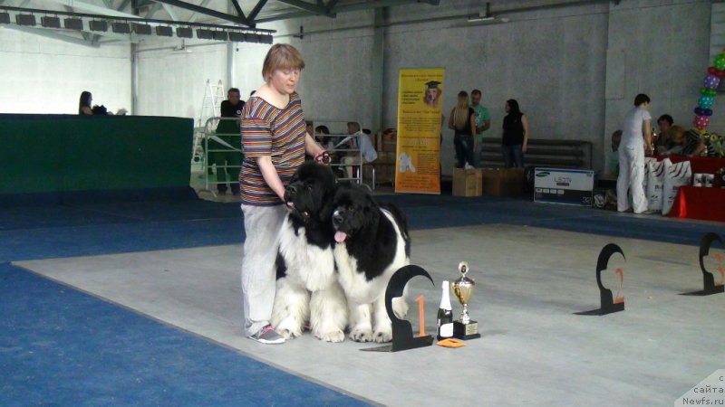 Фотография № 152751