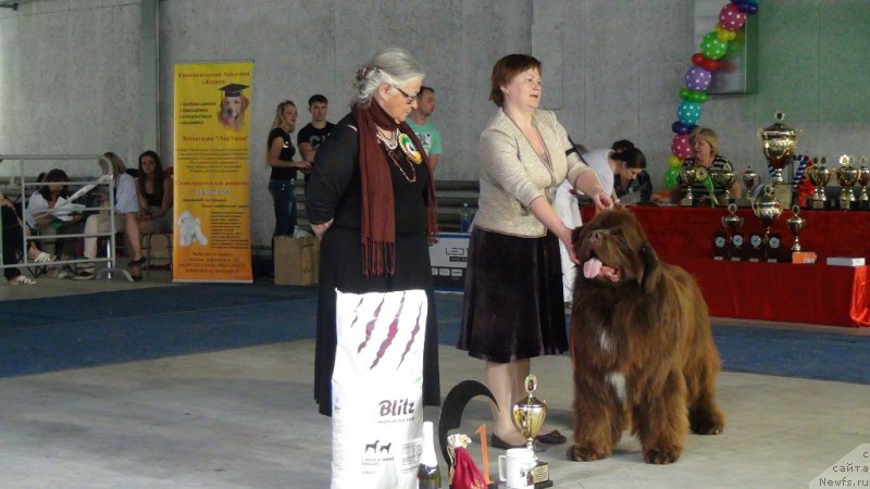 Фотография № 152752