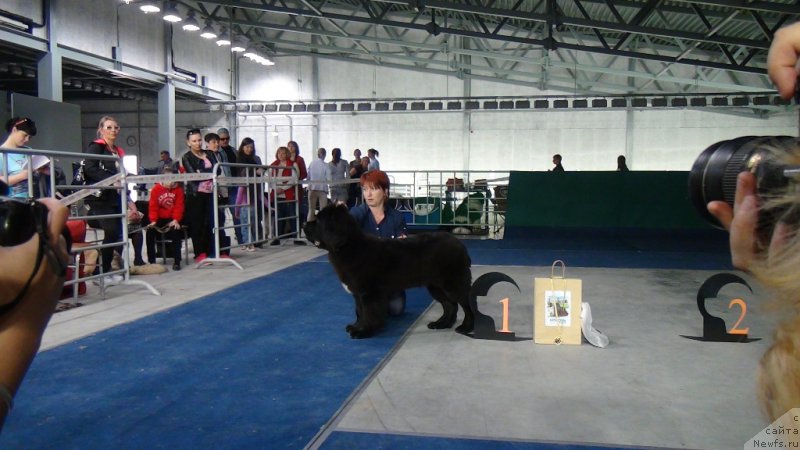 Фотография № 152753