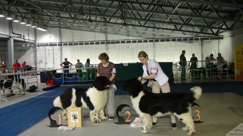 Фотография № 152754