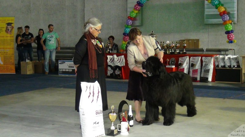 Фотография № 152758