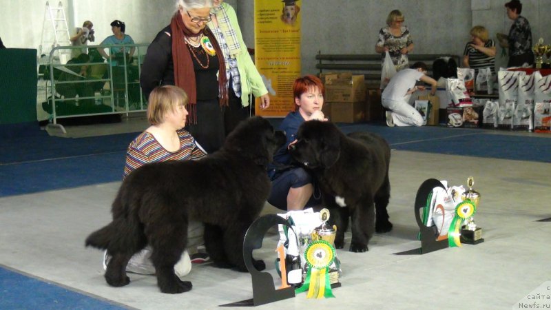 Фотография № 152759