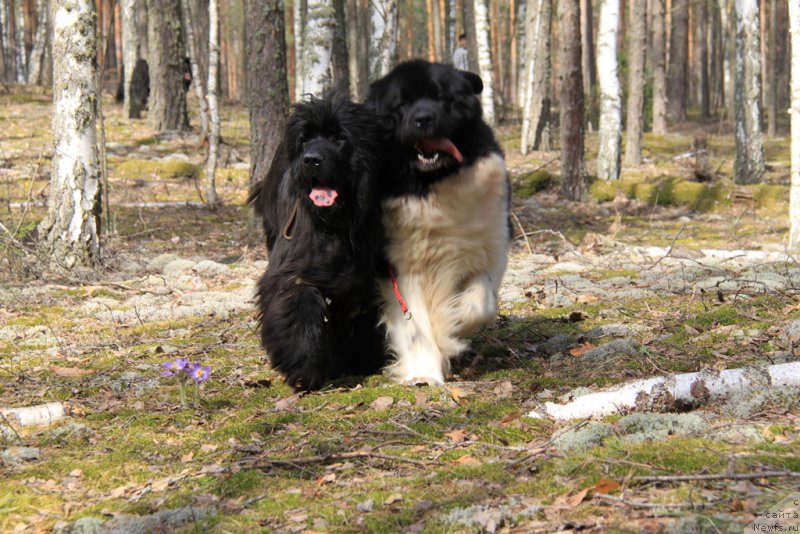 Фотография № 152768