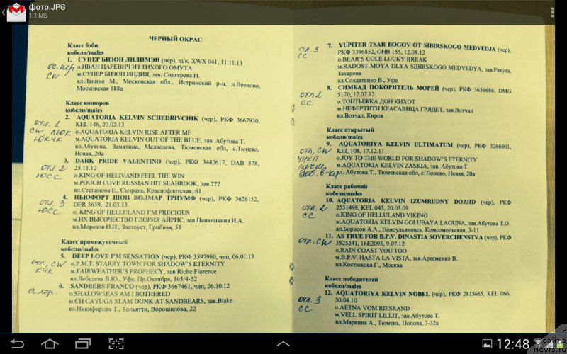 Фотография № 152779