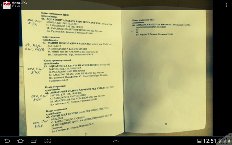 Фотография № 152784