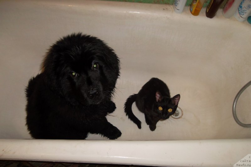 Фотография № 152793