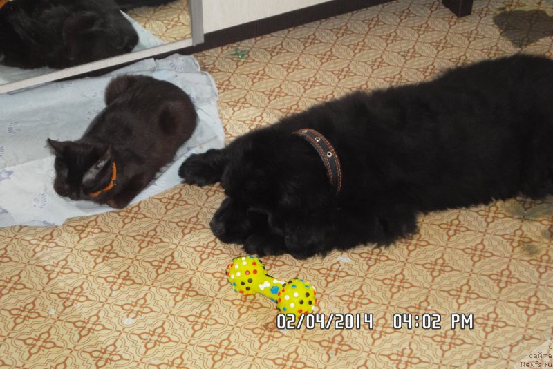 Фотография № 152794