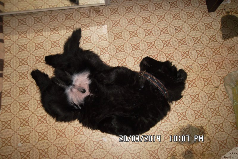 Фотография № 152796