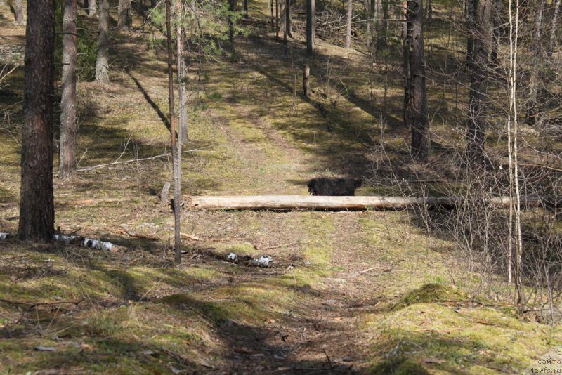 Фотография № 152815