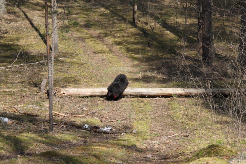 Фотография № 152817