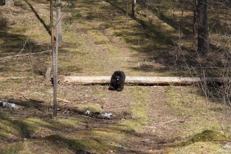 Фотография № 152818