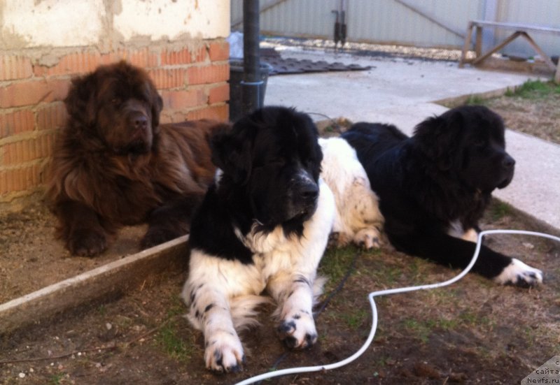 Фотография № 152836