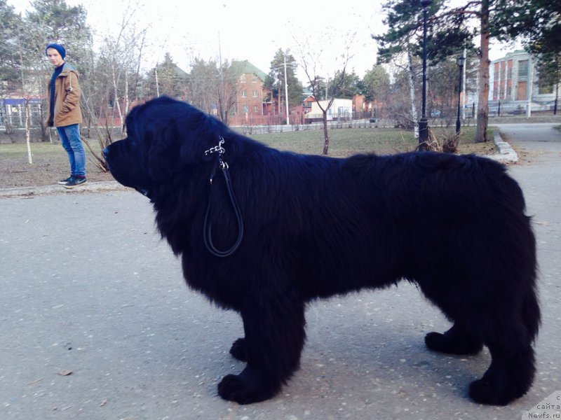 Фото: [d11778] 1 год 8 мес.