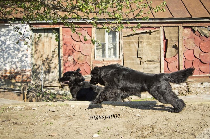 Фотография № 152853