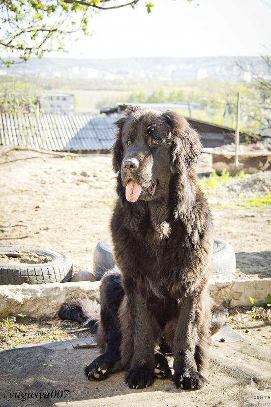 Фотография № 152863