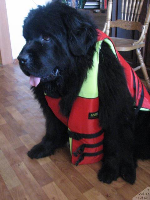 Фотография № 15287