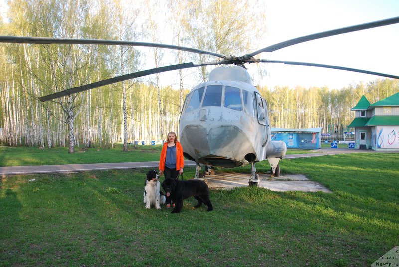 Фотография № 152873