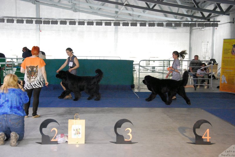 Фотография № 152878