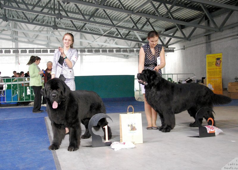 Фотография № 152881