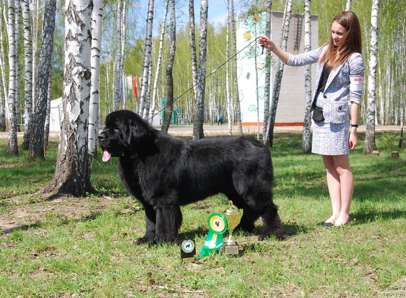 Фотография № 152882