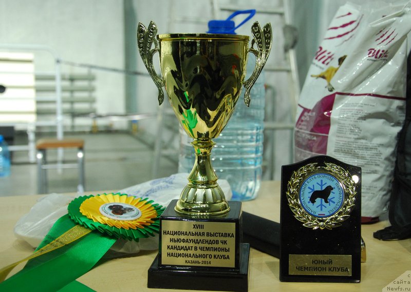 Фотография № 152886