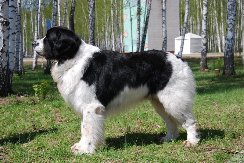 Фотография № 152901