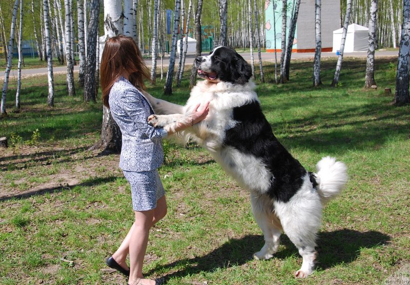 Фотография № 152902