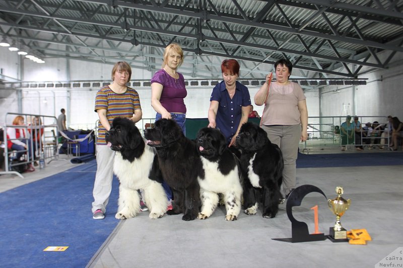 Фотография № 152903