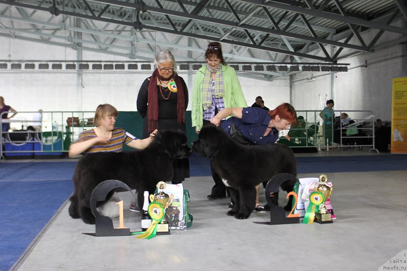 Фотография № 152905