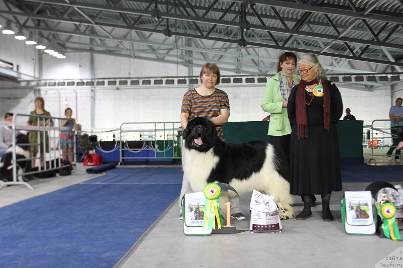 Фотография № 152906