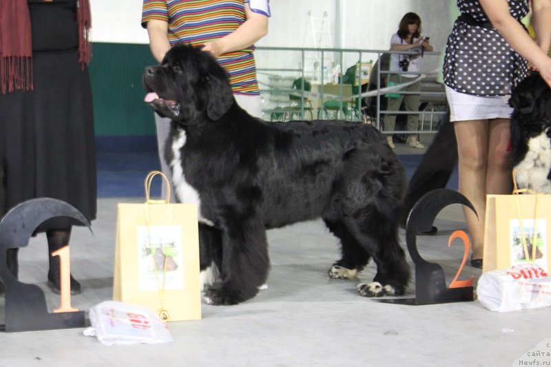 Фотография № 152907