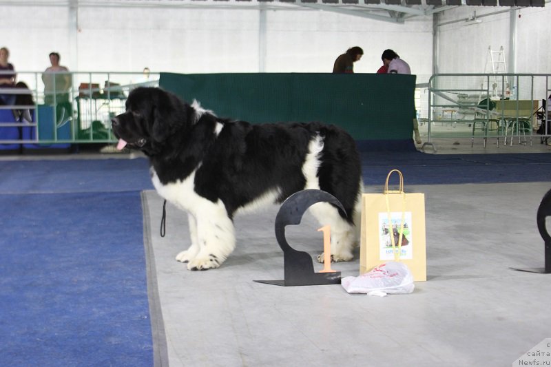 Фотография № 152908