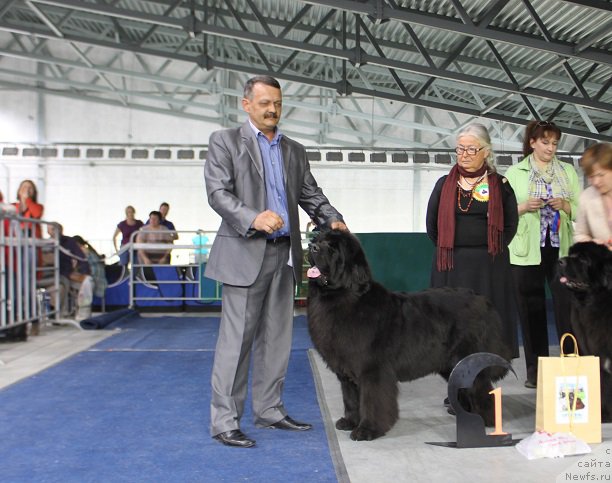 Фотография № 152909