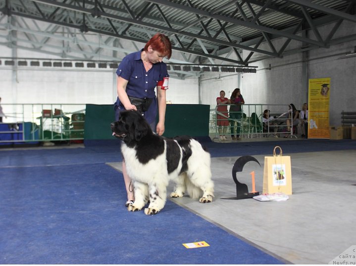 Фотография № 152913