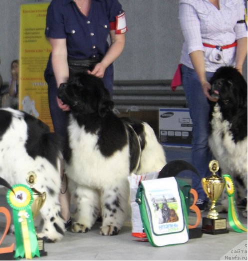 Фотография № 152914