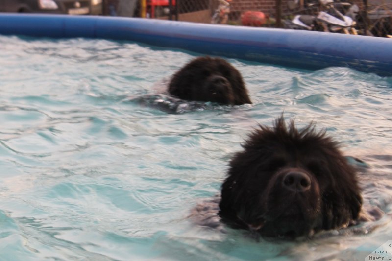 Фотография № 152915