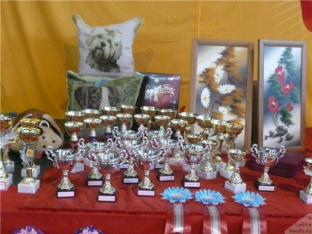 Фотография № 15292