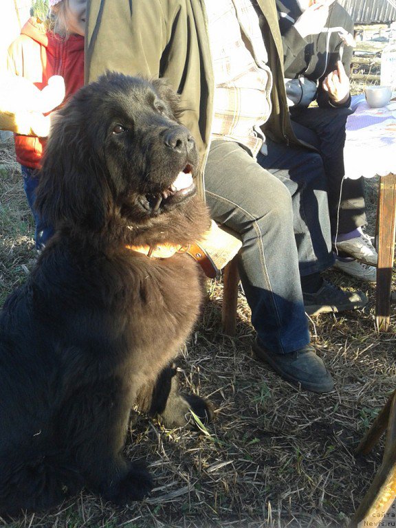 Фотография № 152941