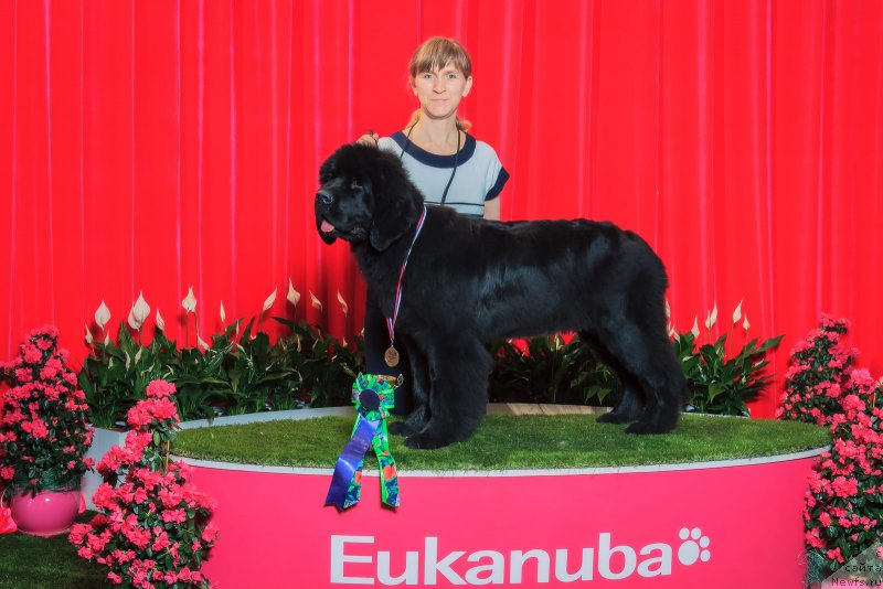 Фотография № 152943