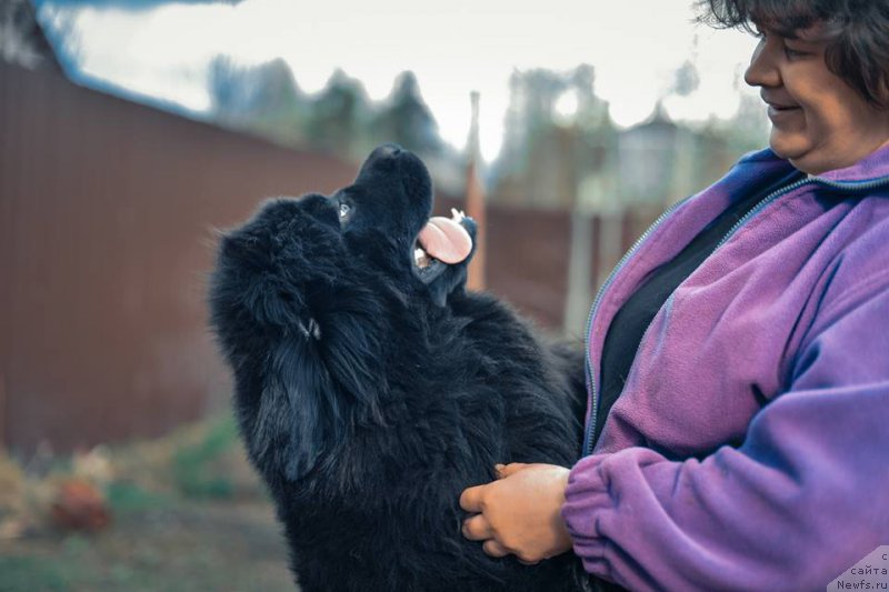 Фотография № 152971