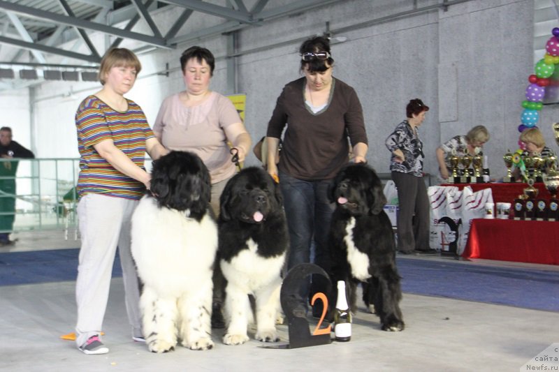 Фотография № 152974