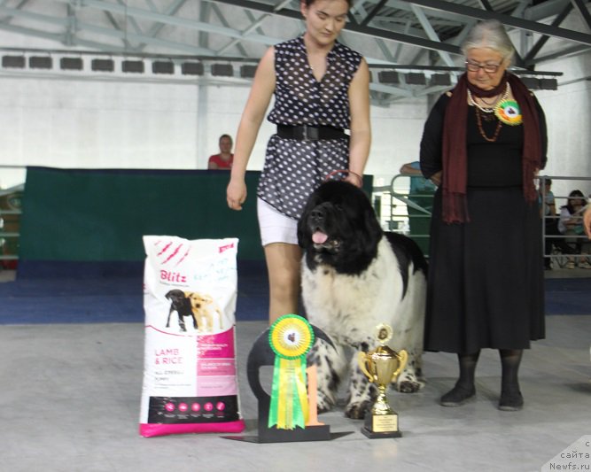 Фотография № 152976